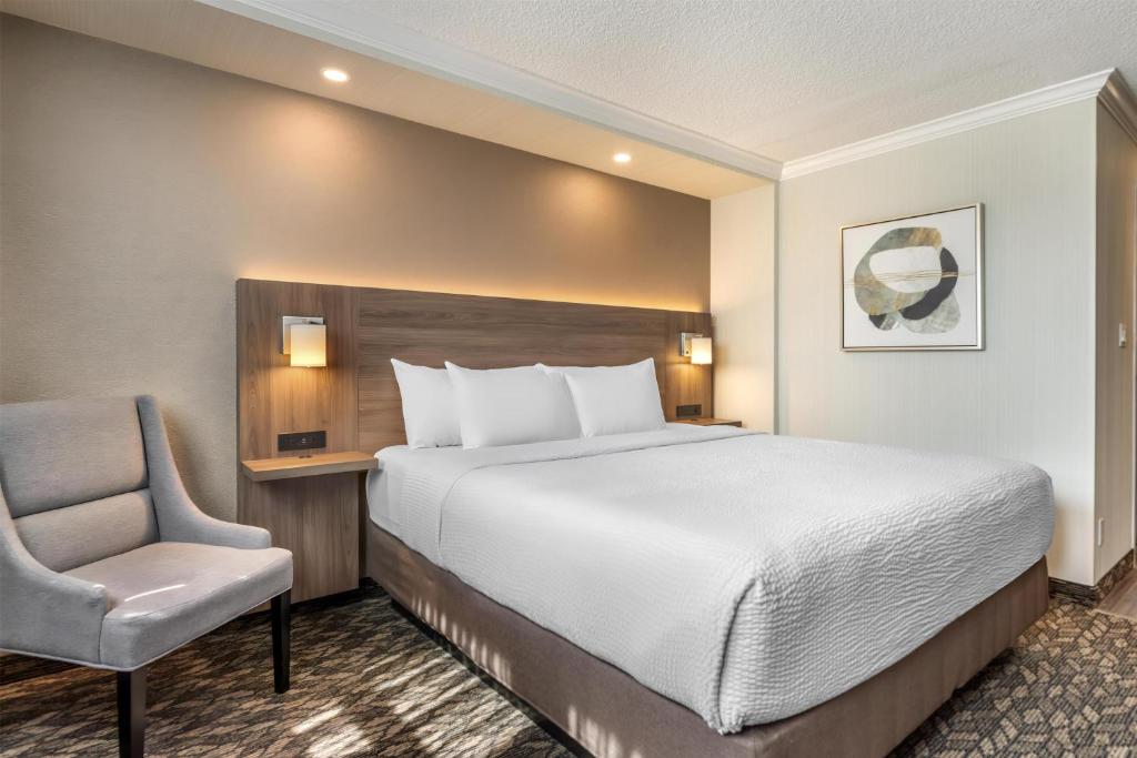 BEST WESTERN PLUS Carlton Plaza Hotel, photo 1