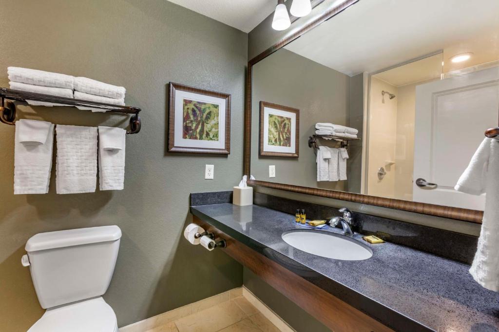 Best Western Plus Chandler Hotel & Suites, photo 3