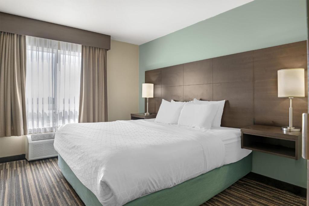 Best Western Plus Dartmouth Hotel & Suites, photo 1