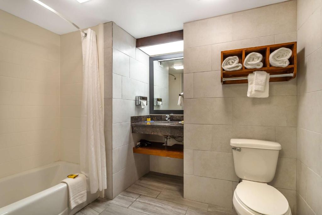 Best Western Plus Houston Energy Corridor, photo 3