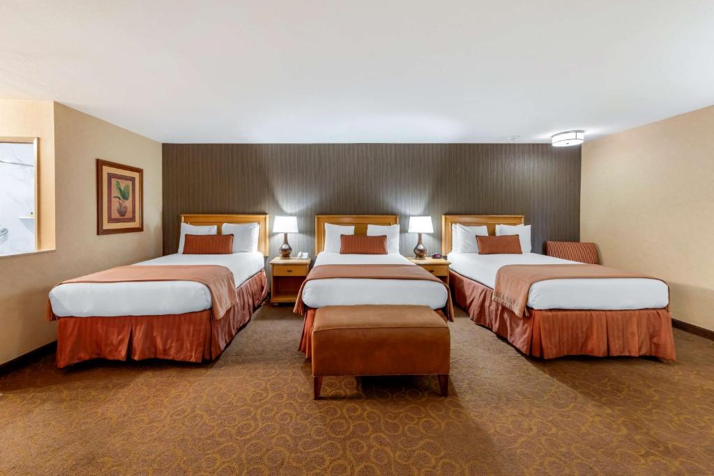 Best Western Plus Pavilions, photo 2