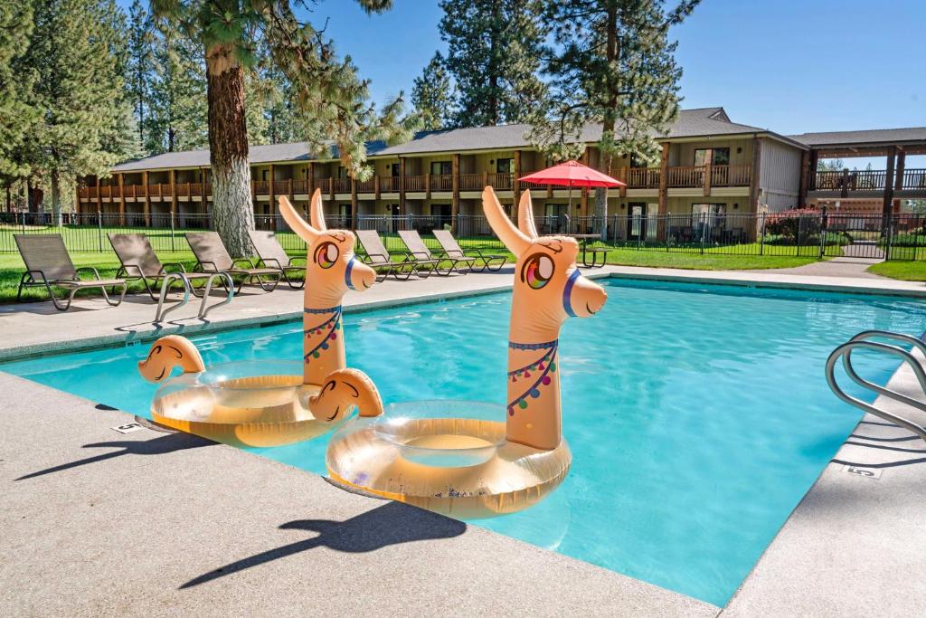 Best Western Ponderosa Lodge, photo 3