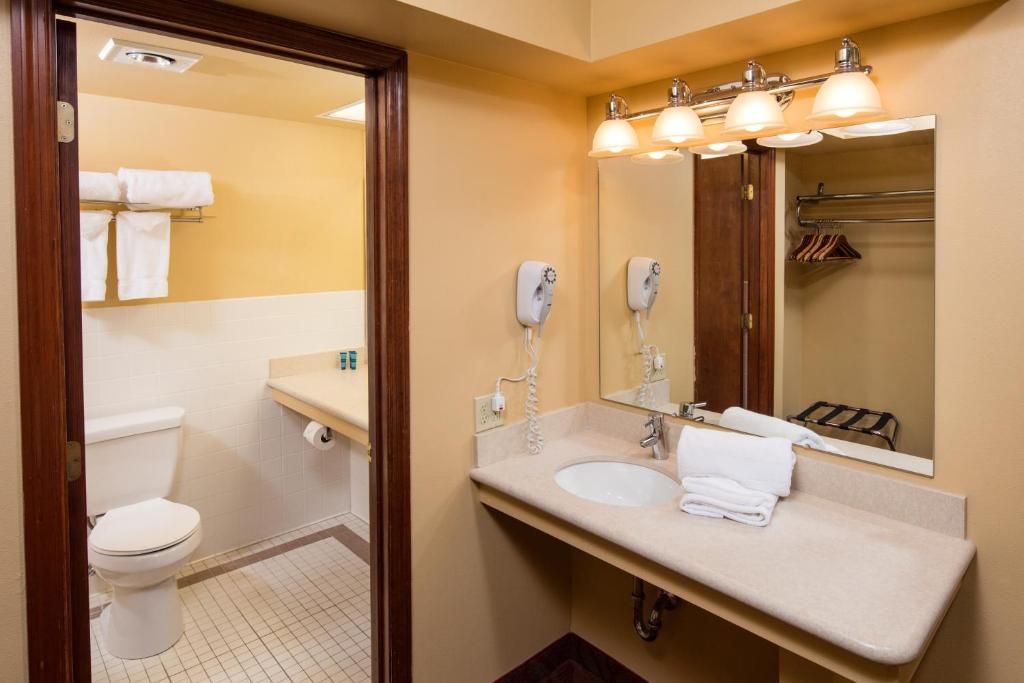 Chestnut Mountain Resort, photo 3