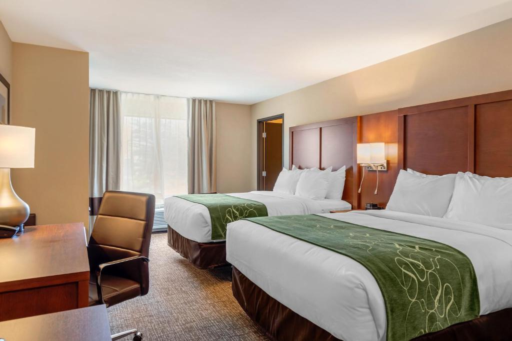 Comfort Inn & Suites Schenectady - Scotia, photo 2