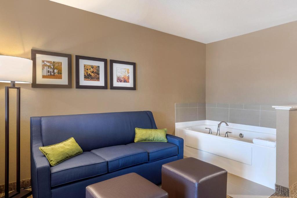 Comfort Inn & Suites Schenectady - Scotia, photo 3