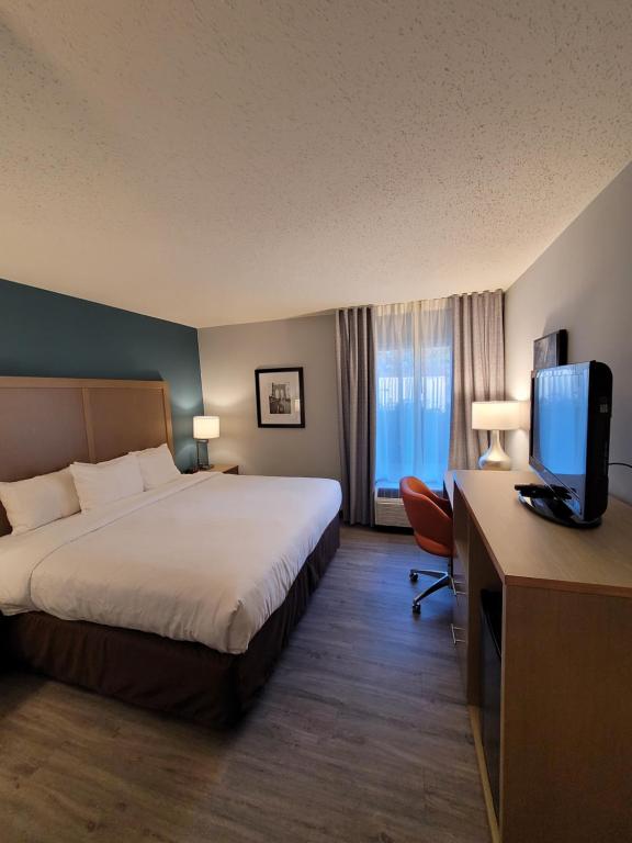 Comfort Inn & Suites, photo 2