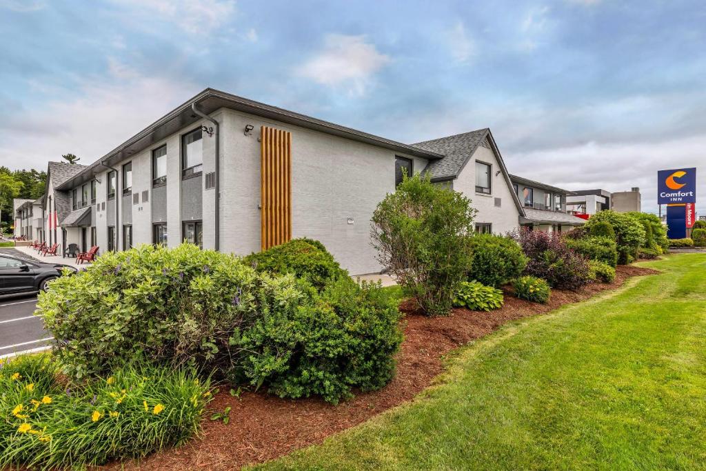 Comfort Inn, photo 3