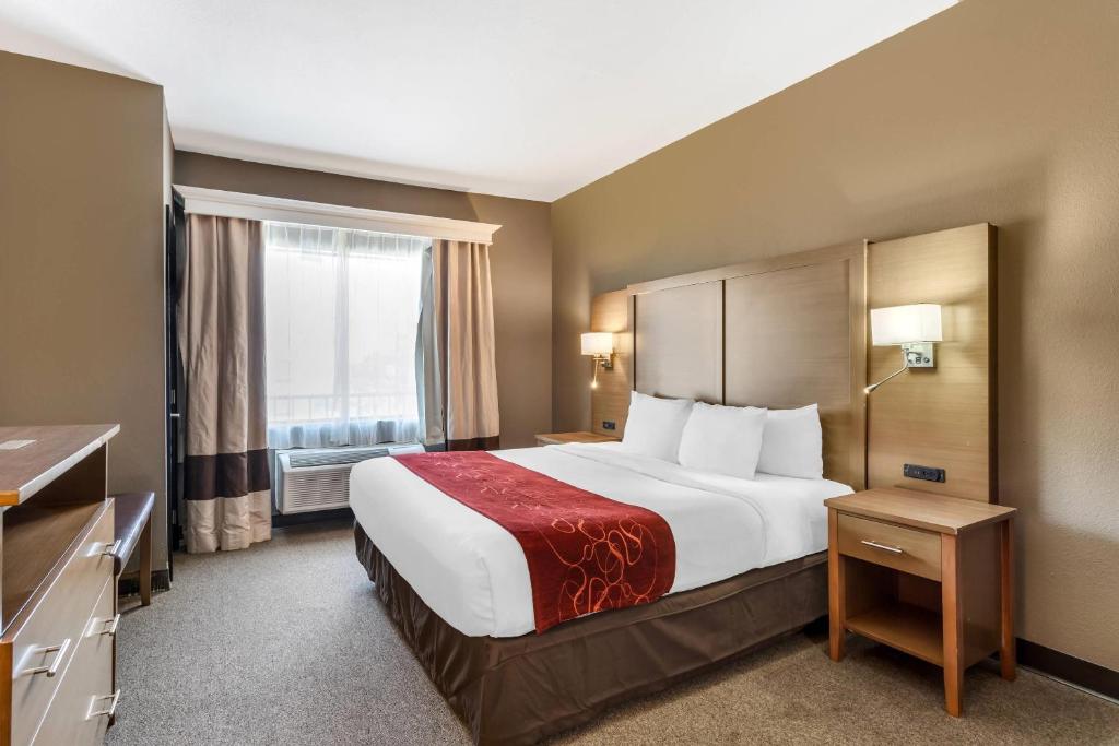 Comfort Suites Bush Intercontinental Airport, photo 2