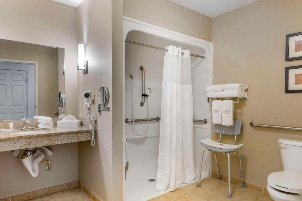 Comfort Suites Sarasota, photo 3