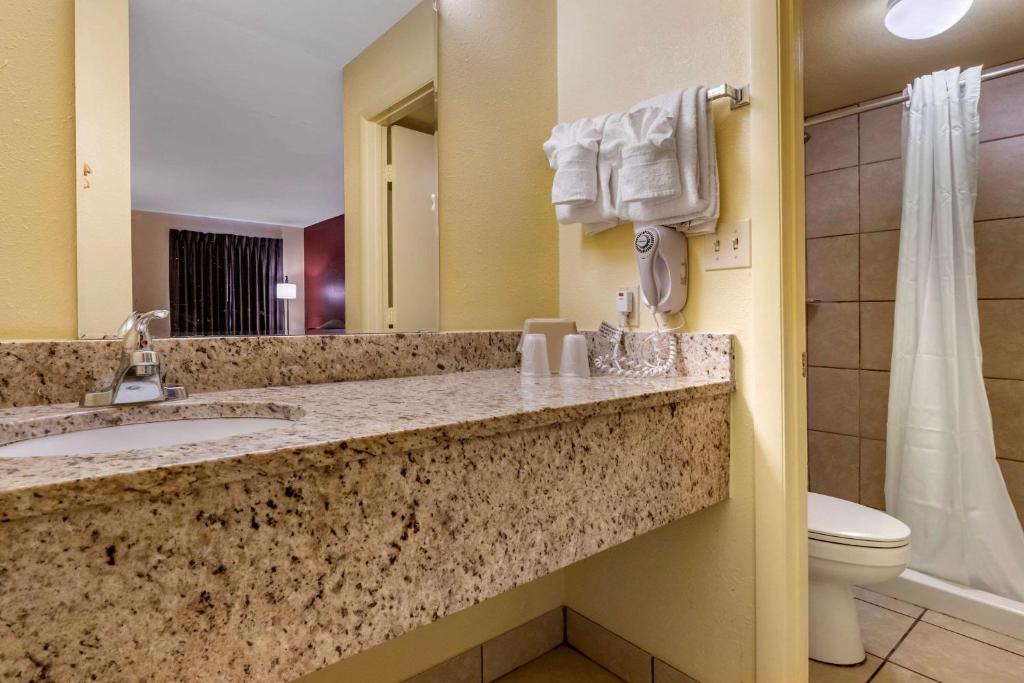 Econo Lodge Inn & Suites Maingate Central, photo 3