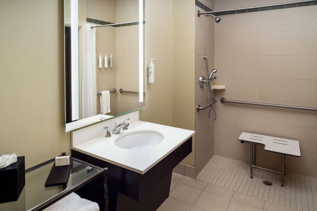 Embassy Suites Saint Louis - Downtown, photo 3