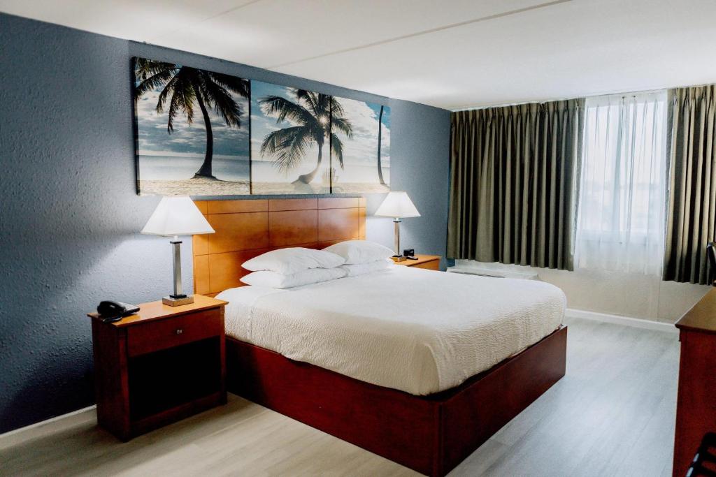 enVision Hotel Miami International Airport, photo 4