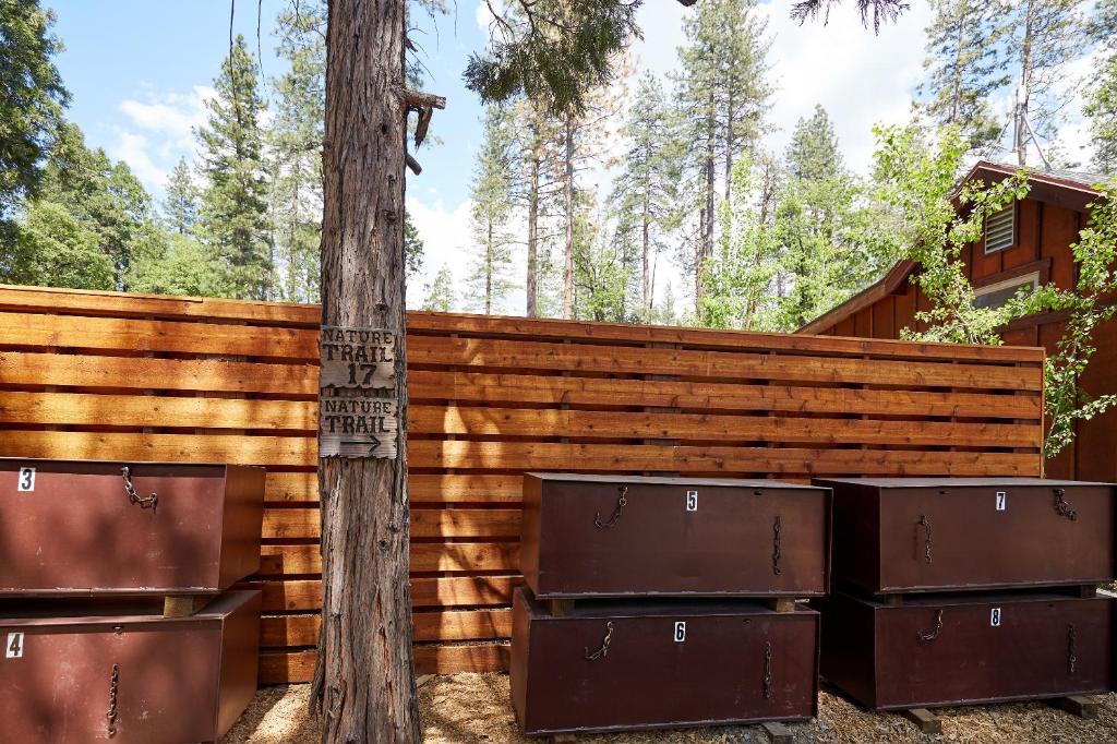 Evergreen Lodge, photo 4