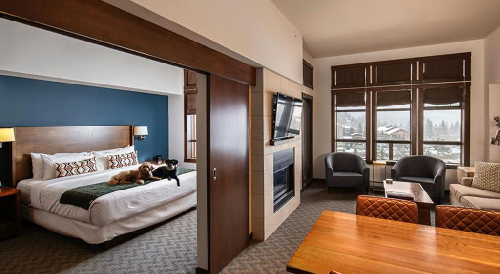 Evolution Whistler, by Lodging Ovations, photo 2