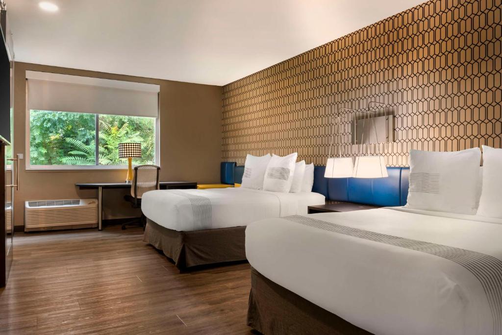GLo Hotel Asheville-Blue Ridge Parkway, photo 2