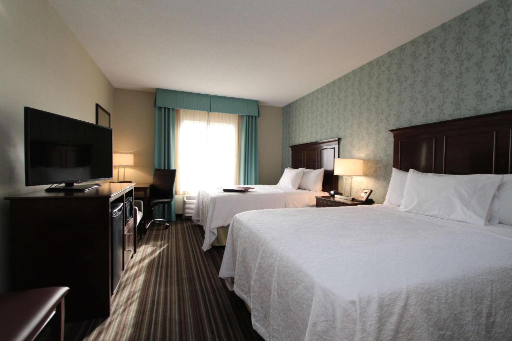 Hampton Inn & Suites by Hilton St. John's Airport, photo 2