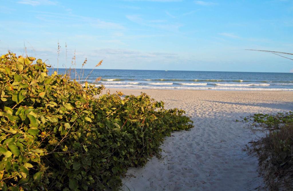 Hampton Inn Cocoa Beach, photo 4