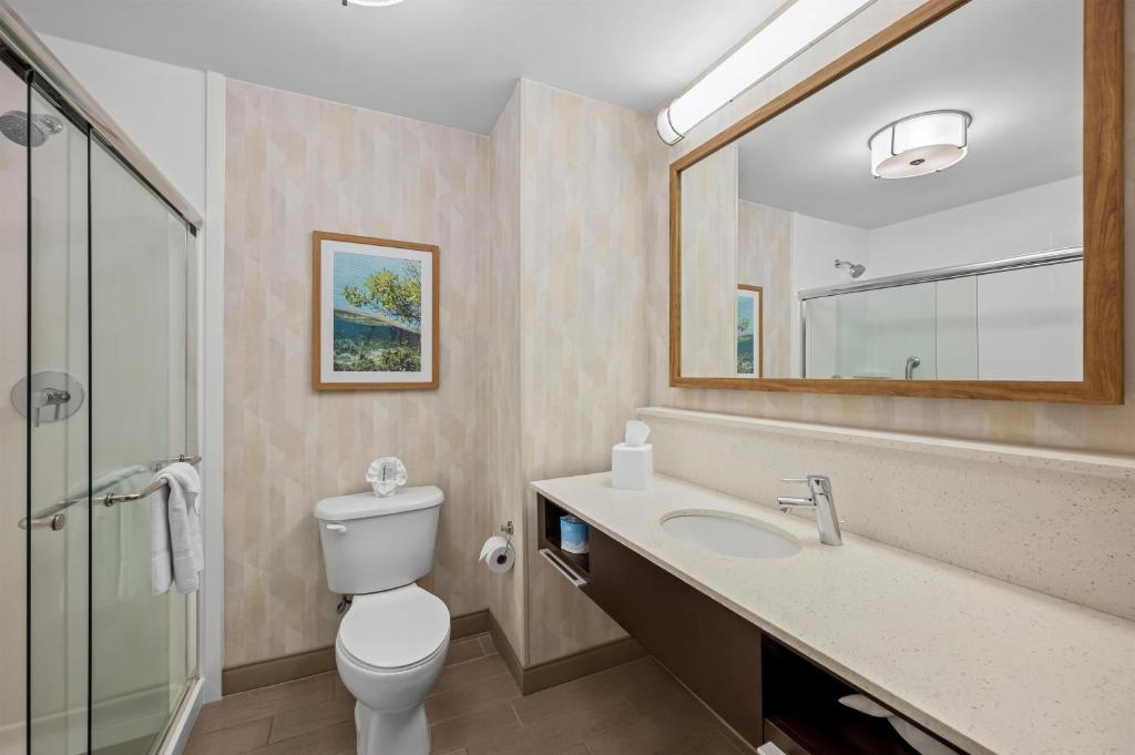 Hampton Inn Naples - I-75, photo 3