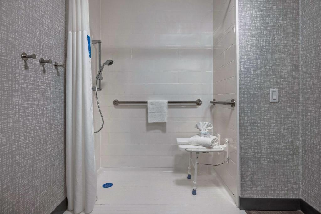 Hampton Inn San Antonio-Downtown, photo 3