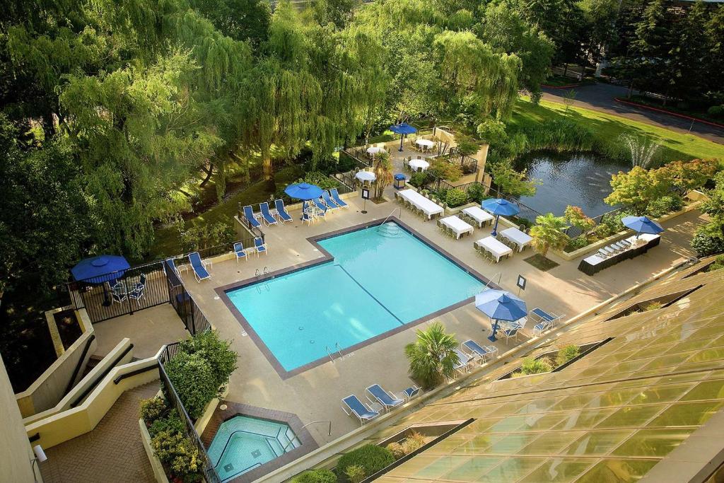 Hilton Bellevue, photo 4