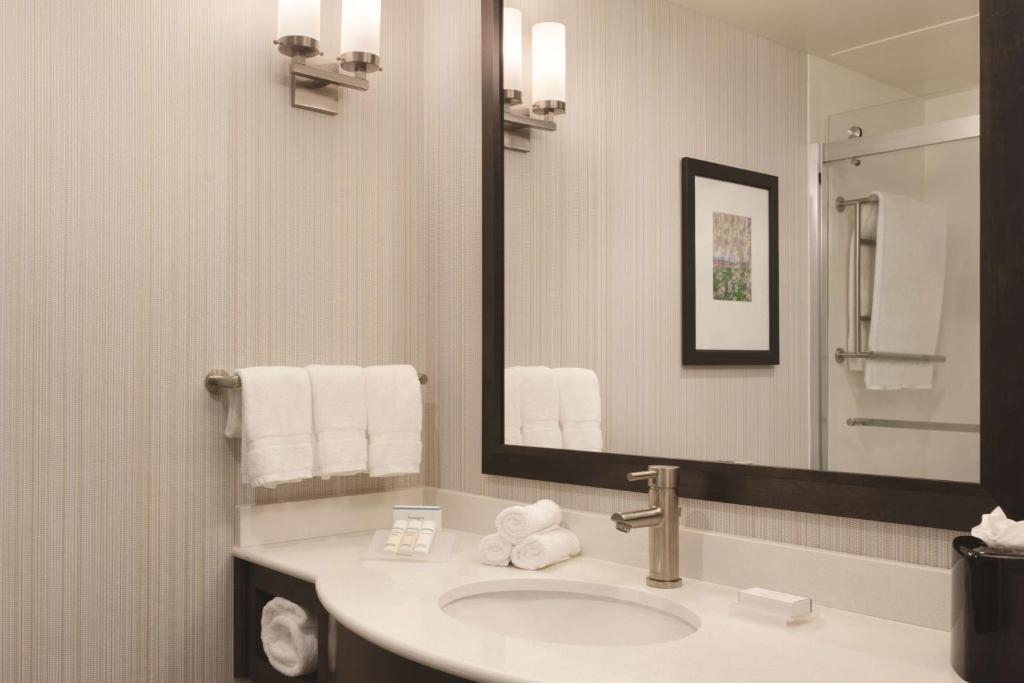 Hilton Garden Inn Boston Logan Airport, photo 3