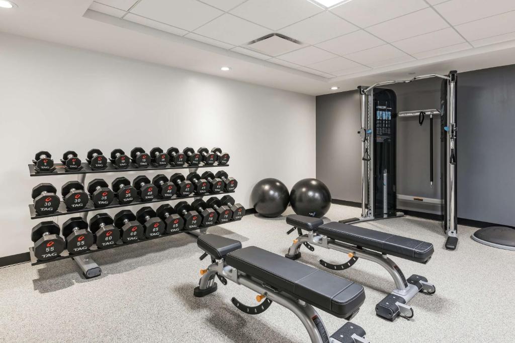 Hilton Garden Inn Ottawa Downtown, photo 4