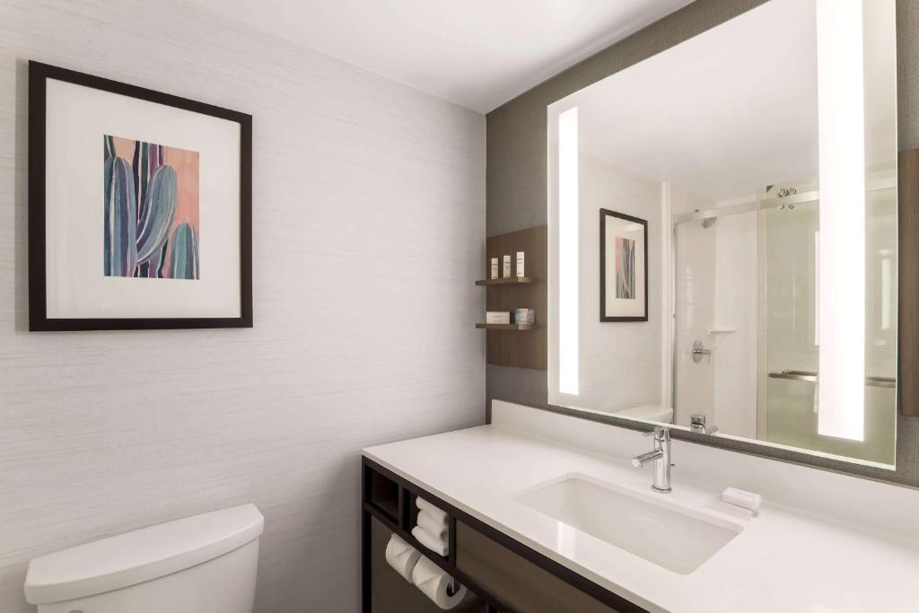Hilton Garden Inn Reno, photo 3