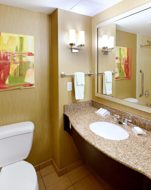 Hilton Garden Inn Springfield - Nature Center Way, photo 3