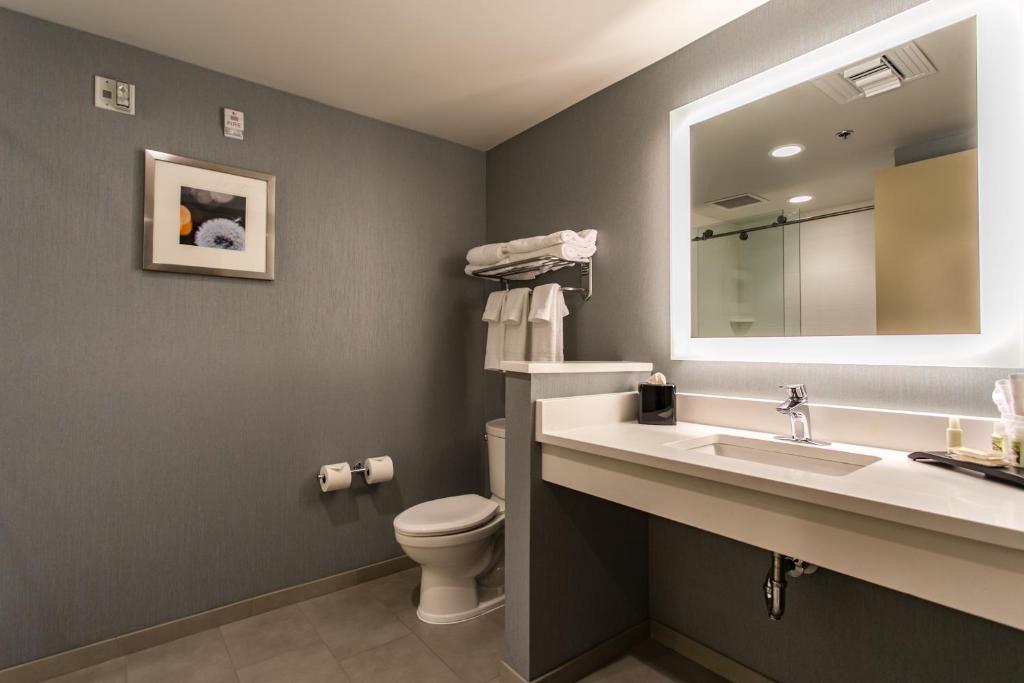Holiday Inn & Suites Chattanooga Downtown, photo 3