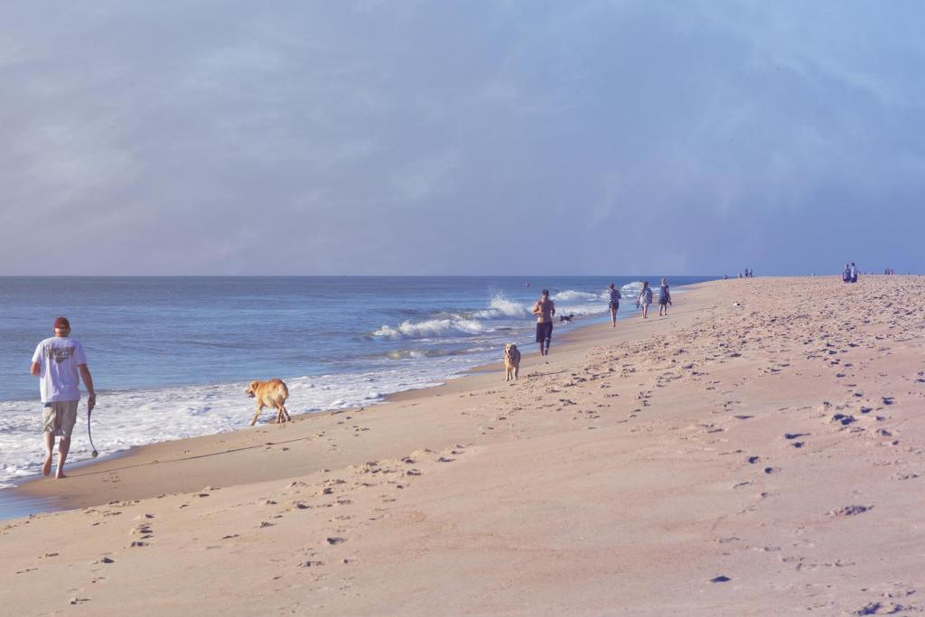 Hyatt Place Dewey Beach, photo 4