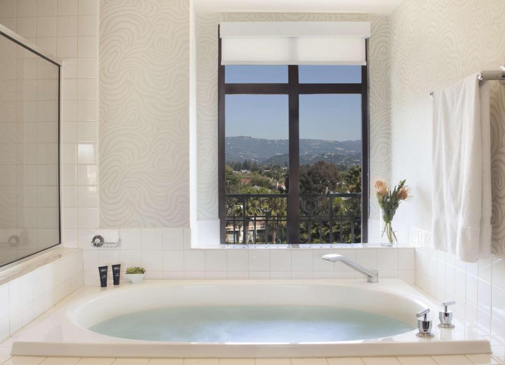 Juniper Cupertino, Curio Collection by Hilton, photo 3
