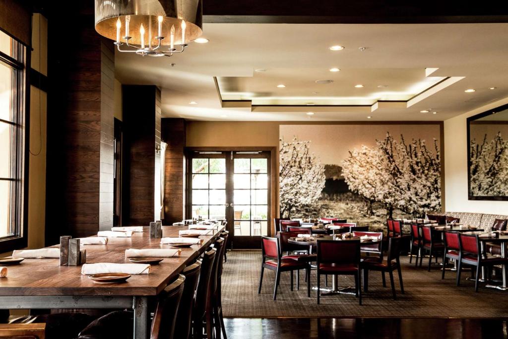 Juniper Cupertino, Curio Collection by Hilton, photo 4