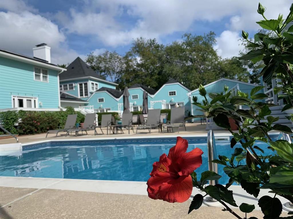 Mar Bella Boutique Hotel & Spa, photo 3