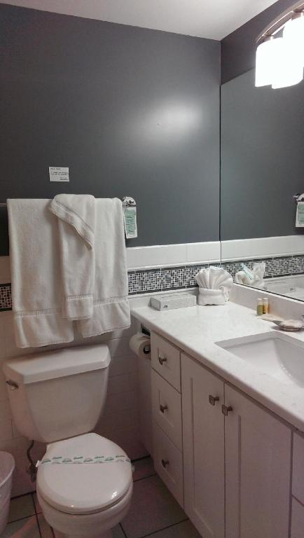 Montauk Manor, photo 3