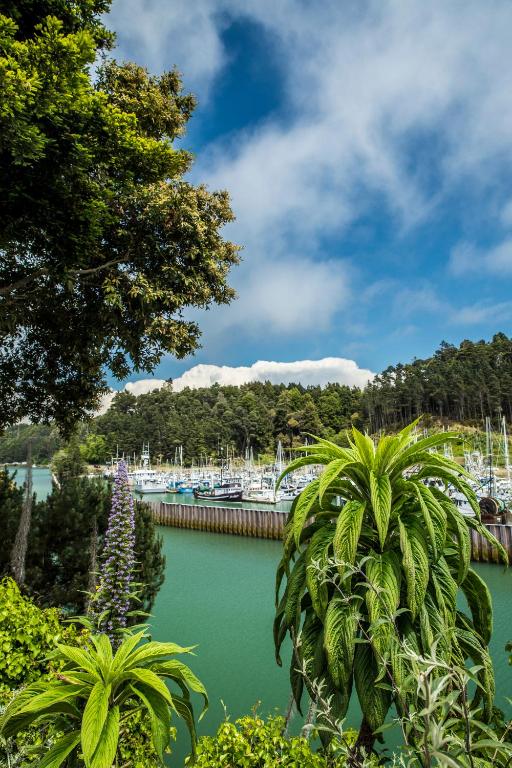 Noyo Harbor Inn, photo 3
