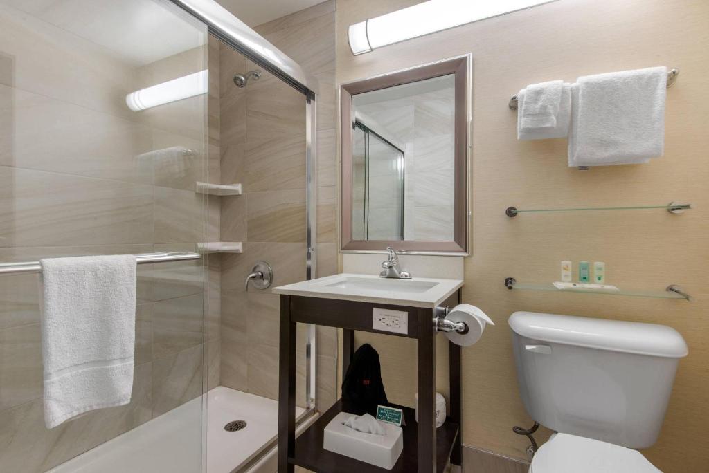 Quality Inn & Conference Centre Downtown Sudbury, photo 3
