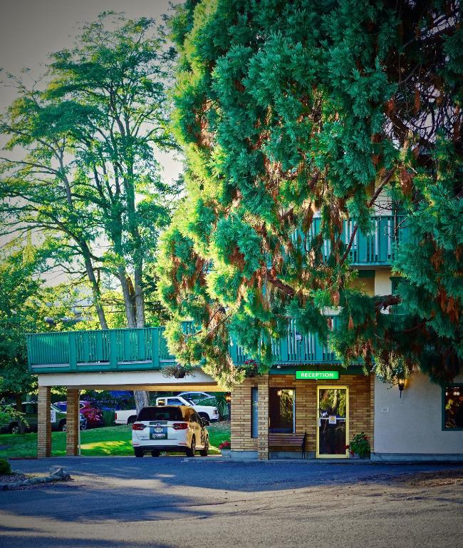 Robin Hood Inn and Suites, photo 2