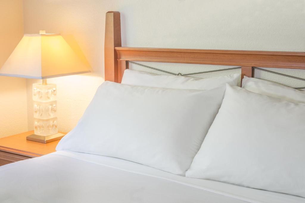 Robin Hood Inn and Suites, photo 4