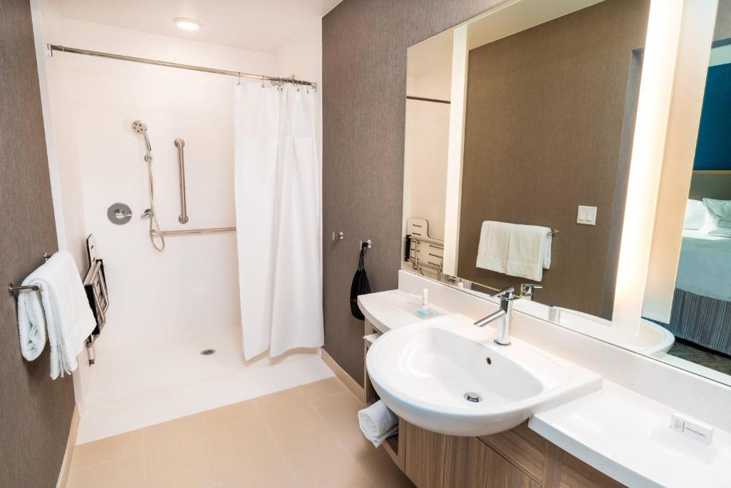 SpringHill Suites by Marriott Newark Fremont, photo 3
